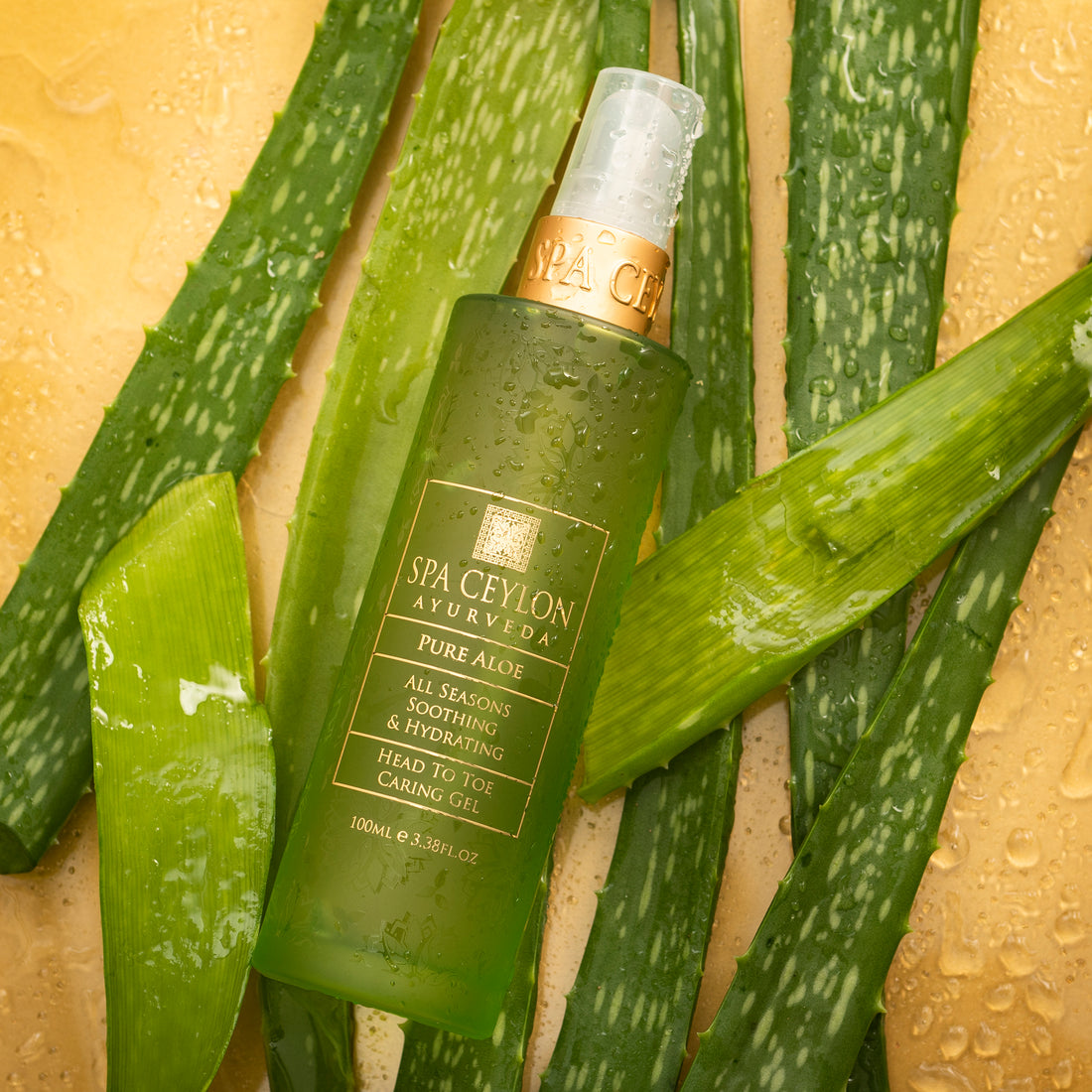 Pure Aloe - All Seasons - Soothing &amp; Hydrating Head To Toe Caring Gel